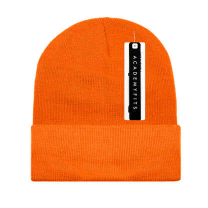 Classic Cuffed Beanie #6011